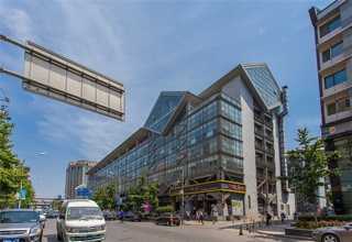 马齿苋怎样去除白发质